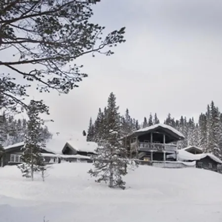 Πάρκο διακοπών Kirkebyfjellet Meråker
